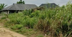 Uncompleted One-Storey Building Consisting of 2 Units of One-Bedroom Flat (Mini-Flat)