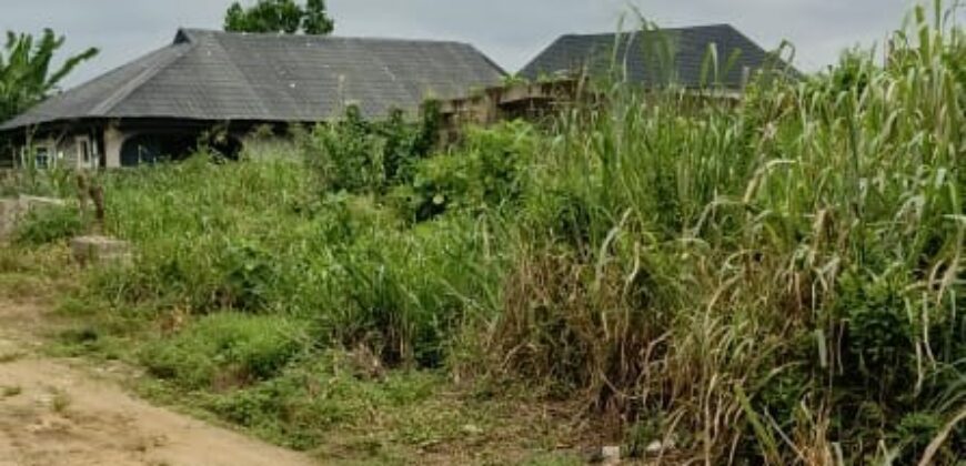 Uncompleted One-Storey Building Consisting of 2 Units of One-Bedroom Flat (Mini-Flat)