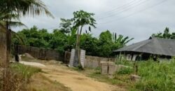Uncompleted One-Storey Building Consisting of 2 Units of One-Bedroom Flat (Mini-Flat)