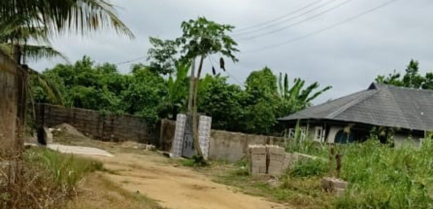 Uncompleted One-Storey Building Consisting of 2 Units of One-Bedroom Flat (Mini-Flat)