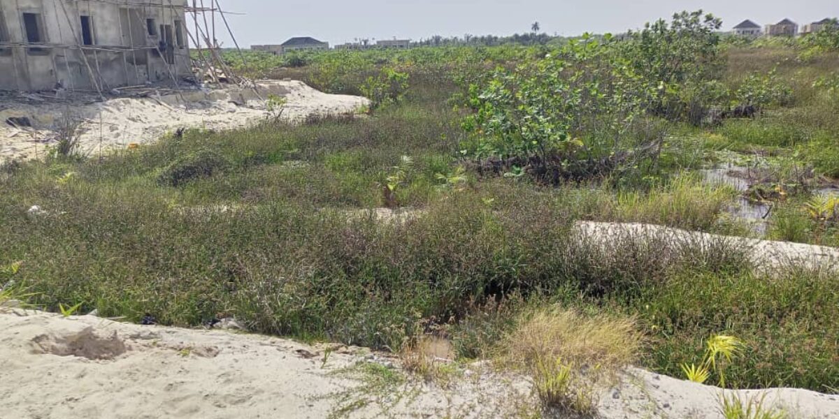 Serviced Plot of Land Measuring Approximately 600.270