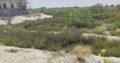 Serviced Plot of Land Measuring Approximately 600.270