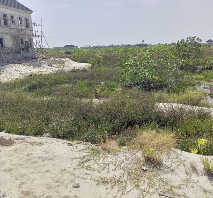 Serviced Plot of Land Measuring Approximately 600.270