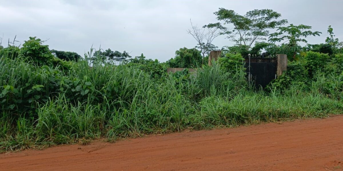 Acres of Virgin Land Fully Fenced and Gated