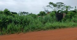 Acres of Virgin Land Fully Fenced and Gated