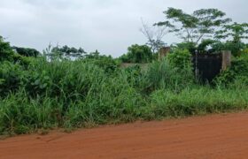 Acres of Virgin Land Fully Fenced and Gated