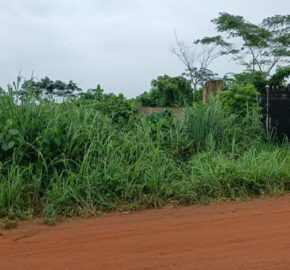 Acres of Virgin Land Fully Fenced and Gated