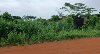 Acres of Virgin Land Fully Fenced and Gated
