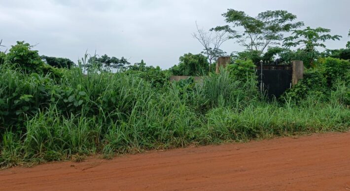 Acres of Virgin Land Fully Fenced and Gated