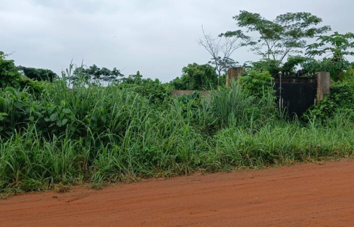 Acres of Virgin Land Fully Fenced and Gated